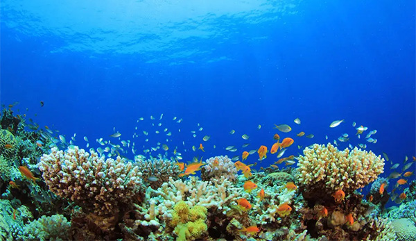 海洋開發(fā)的重要性及意義 海洋開發(fā)的重要性及意義